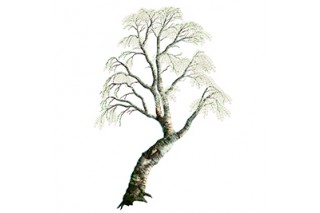 판타지&무협 사계절나무 13