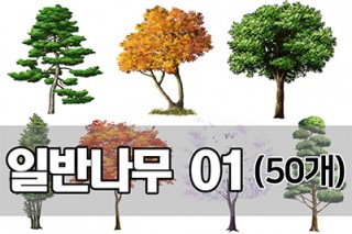 2D 일반나무 세트 01(50개)